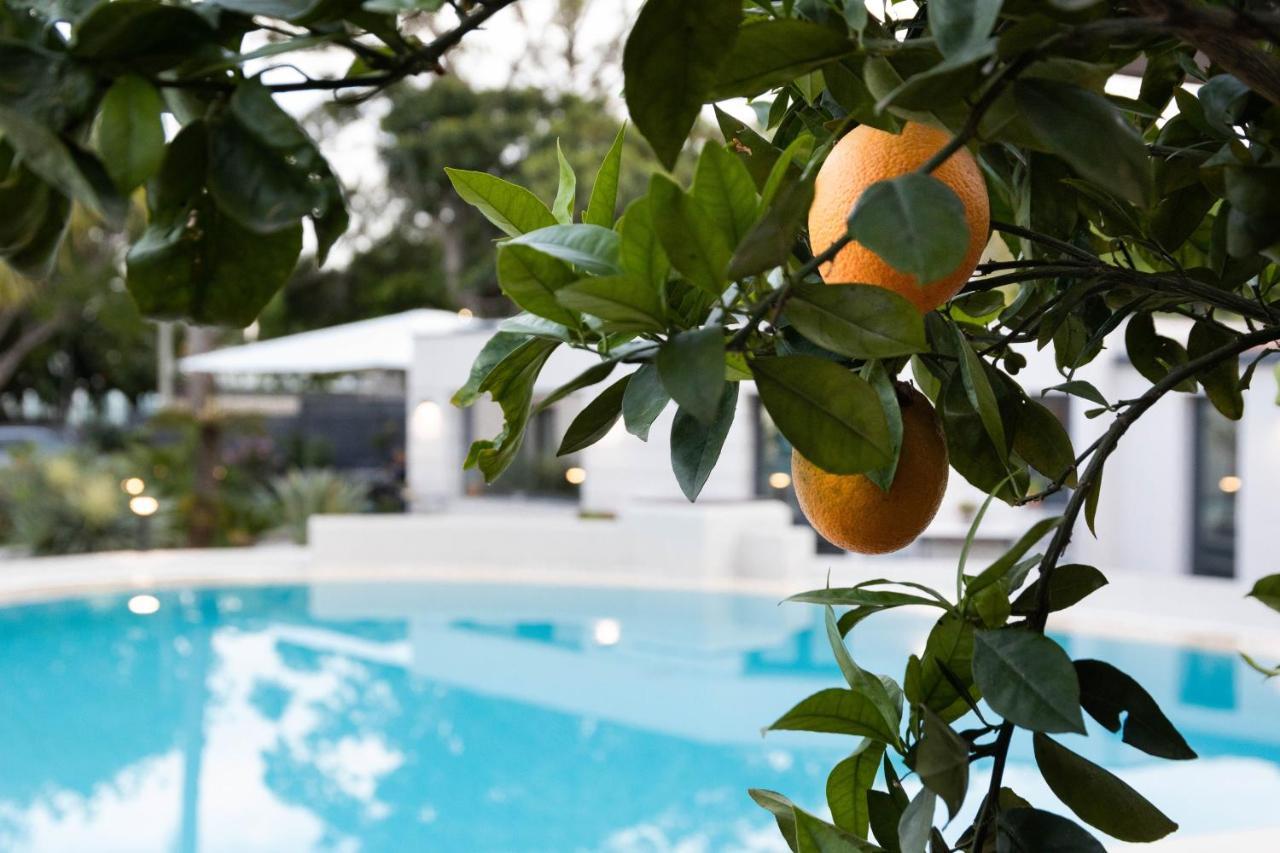 Villa Masetta - Luxury Suites パレルモ エクステリア 写真